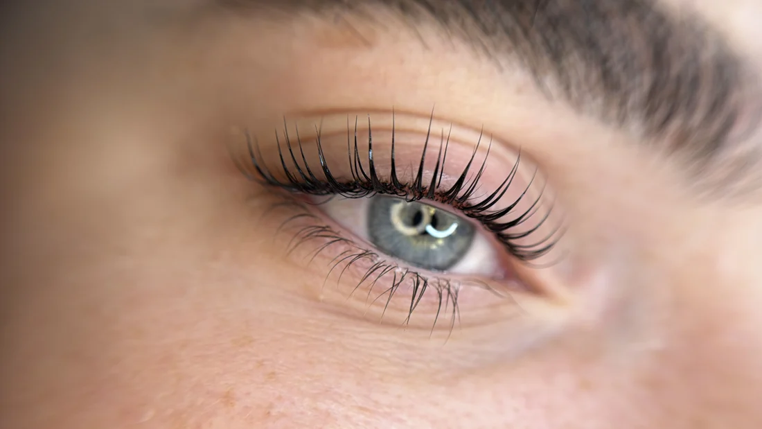 Beauté du regard